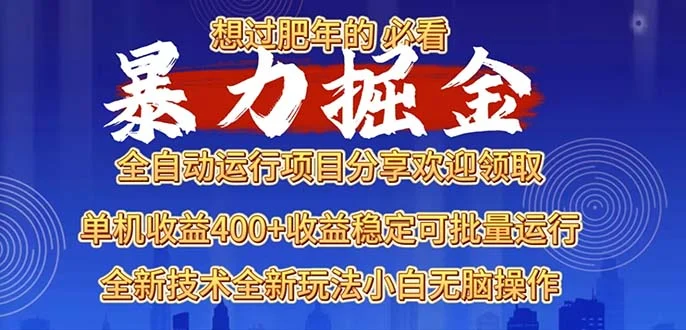 2025暴力掘金项目，想过肥年必看！-续财库