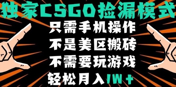 CSGO自动捡漏项目,最新独家玩法,不是美区搬砖,不需要了解和玩游戏,新手小白轻松月入1W+【揭秘】-续财库