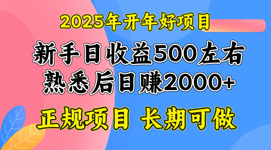 2025开年好项目，单号日收益2000左右-续财库