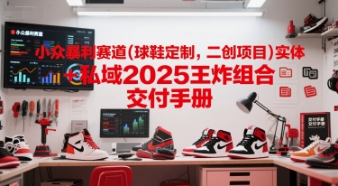 小众暴利赛道(球鞋定制，二创项目)实体+私域2025王炸组合  交付手册-续财库