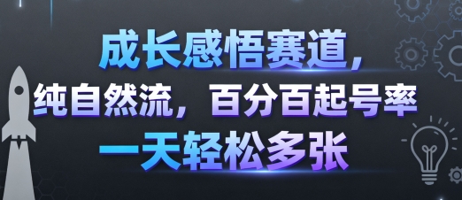 成长感悟赛道,纯自然流,百分百起号率 一天轻松多张-续财库