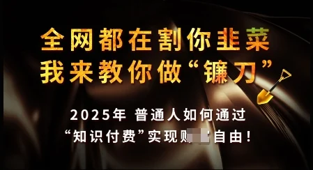 知识付费如何做到月入过W+,2025我来教你做“镰刀”【揭秘】-续财库