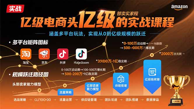 亿级电商头部卖家的实战课程:涵盖多平台玩法,实现从0到亿级规模的跃迁-续财库