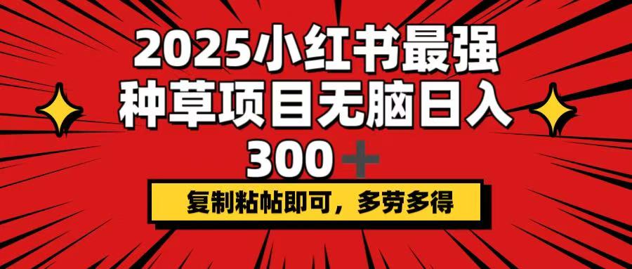 2025小红书最强种草项目，无脑日入300+，复制粘帖即可，多劳多得-续财库