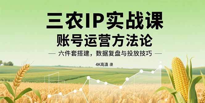 三农IP实战课：账号运营方法论，六件套搭建，数据复盘与投放技巧-续财库
