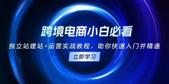 跨境电商小白必看！独立站建站+运营实战教程，助你快速入门并精通-续财库