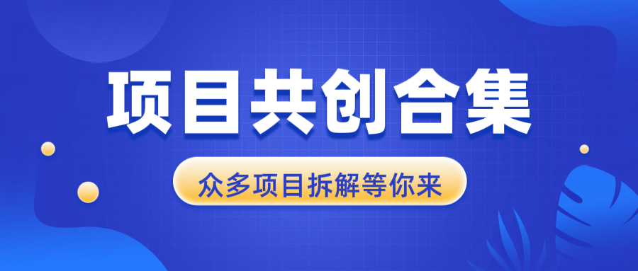 项目共创合集，从0-1全过程拆解，让你迅速找到适合自已的项目-续财库