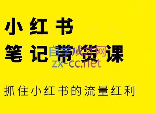 张宾·小红书笔记带货课(更新4月)-续财库