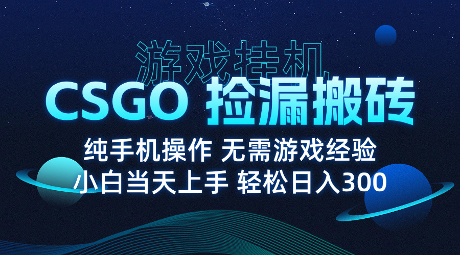 8月最新游戏搬砖,CSGO纯挂机,不需要玩游戏,实现真挂机,月入1W+-续财库