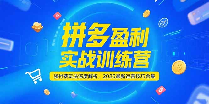 拼多多盈利实战训练营，强付费玩法深度解析，2025运营技巧合集-更新6月-续财库
