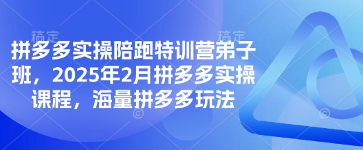 拼多多实操陪跑特训营弟子班，2025年2月拼多多实操课程，海量拼多多玩法-续财库
